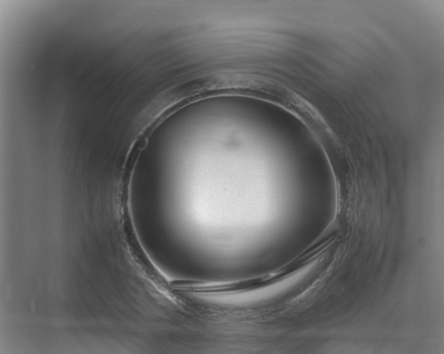 X0000075380786200609151727