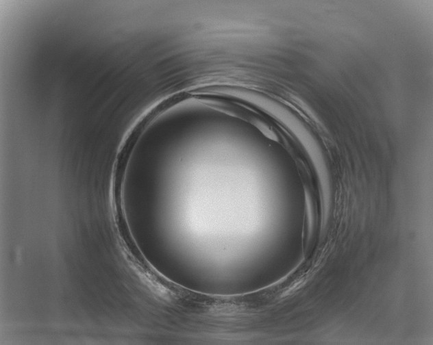 X0000075380788200609151727
