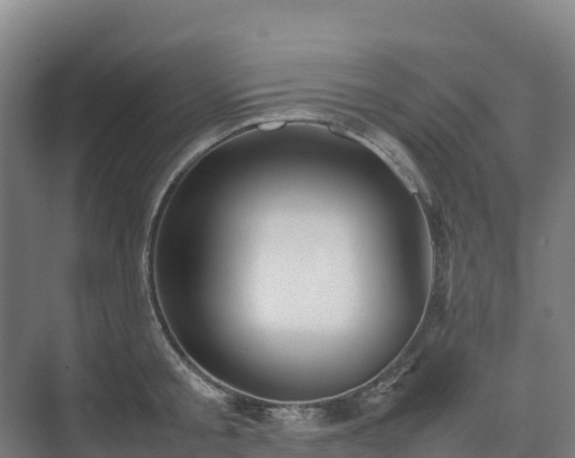 X0000075380805200609151727