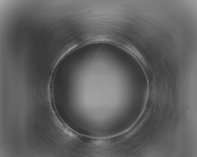 X0000075380806200609151727