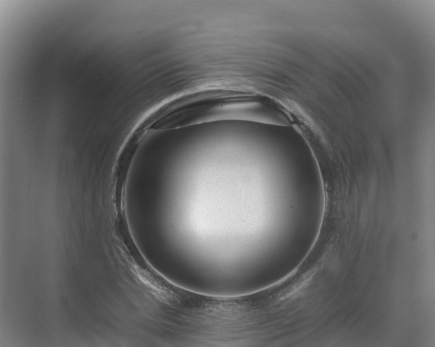X0000075380830200609151726