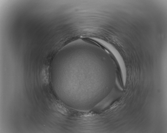 X0000075380868200609151726