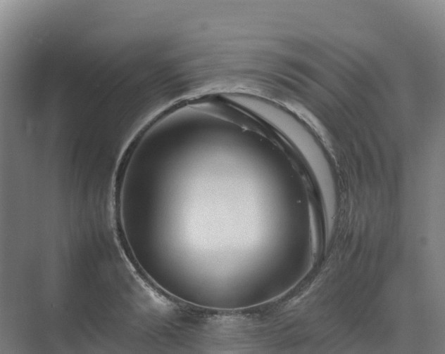 X0000075380894200609151725
