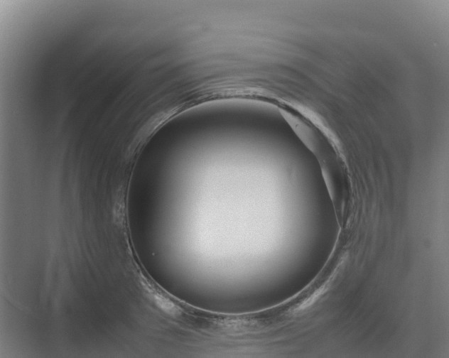X0000075380897200609151725