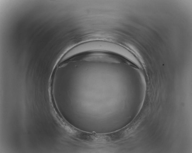 X0000075380899200609151725