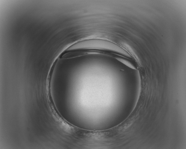 X0000075380900200609151725