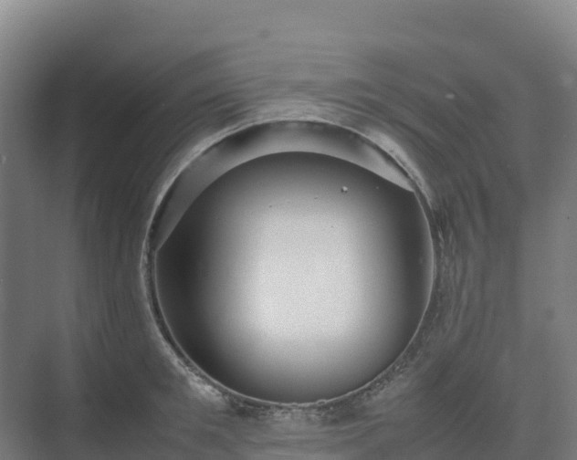 X0000075380901200609151725