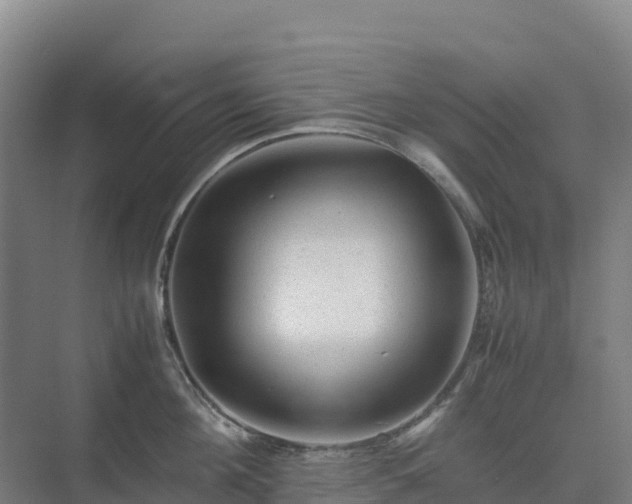 X0000075380908200609151725