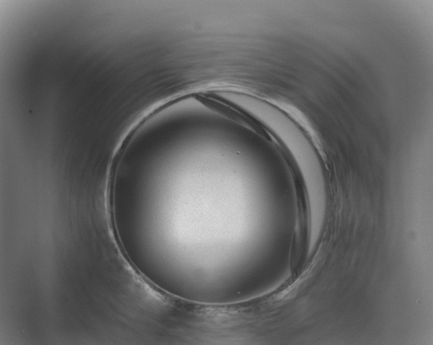 X0000075380910200609151725