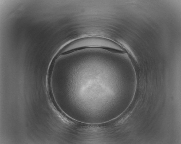 X0000075380932200609151725