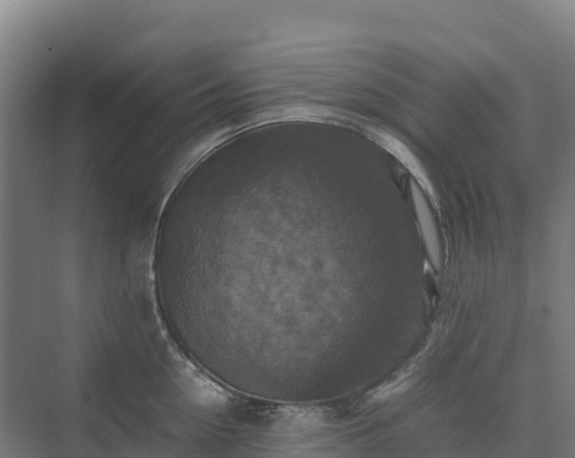 X0000075380954200609151725