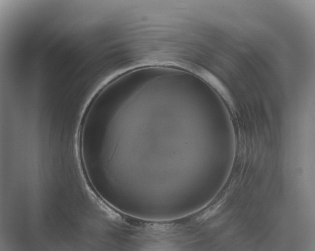 X0000075380958200609151725