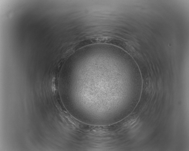 X0000075380962200609151724