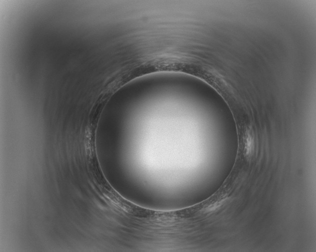 X0000075380964200609151724