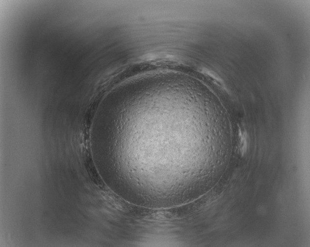X0000075380966200609151724