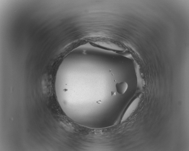 X0000075380968200609151724