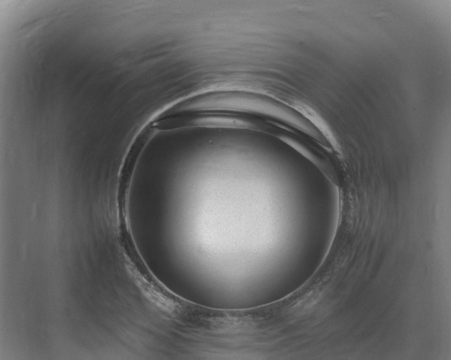 X0000075380980200609151724