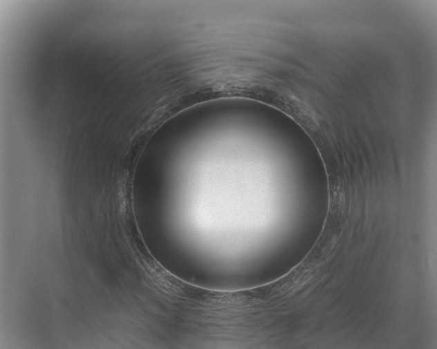 X0000075381012200609151723
