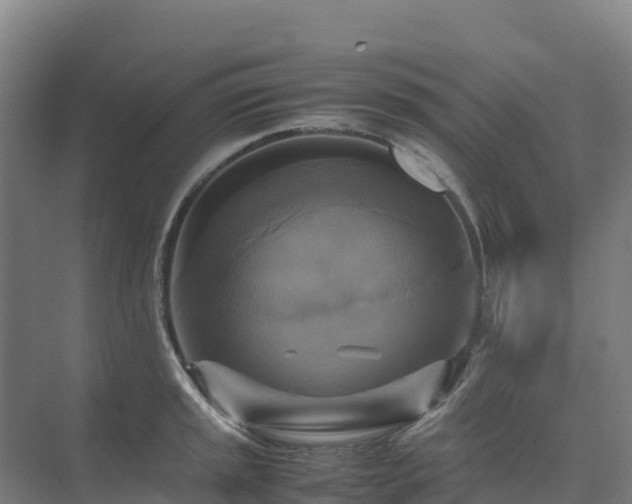 X0000075381045200609151723