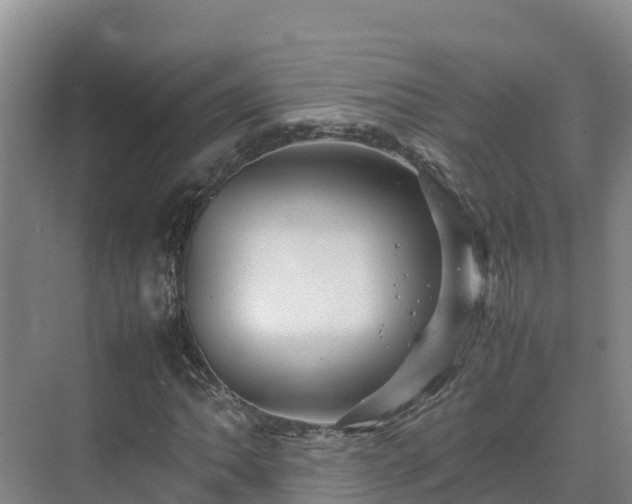 X0000075381062200609151723