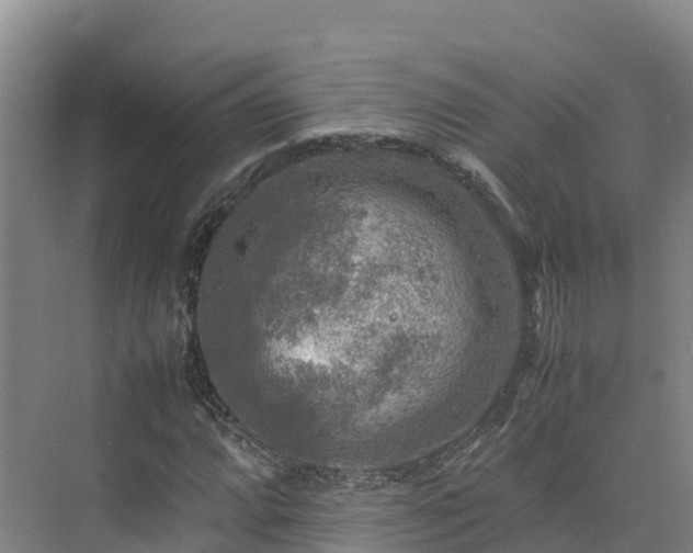 X0000075381064200609151723