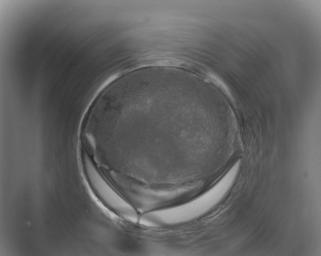 X0000075381095200609151722