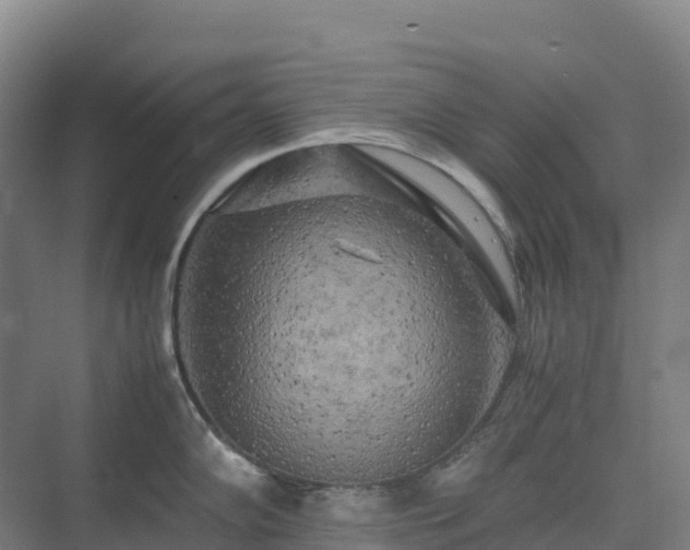 X0000075381102200609151722