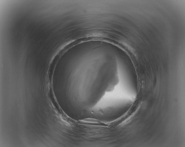 X0000075381117200609151721
