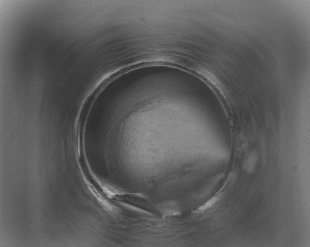 X0000075381127200609151722