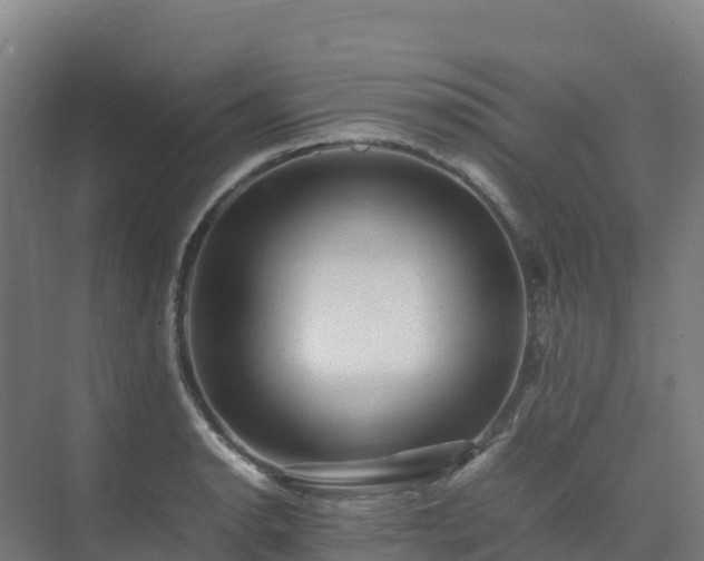 X0000075381134200609151722