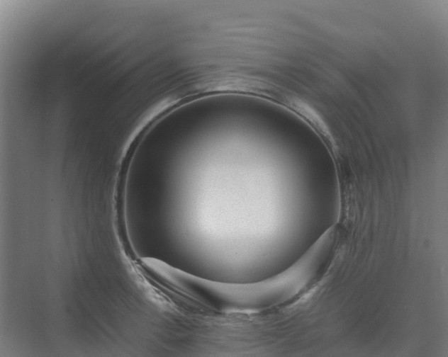 X0000075381138200609151722