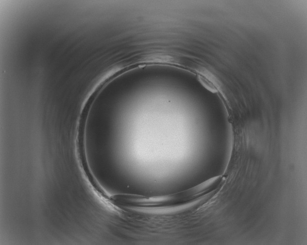 X0000075381139200609151722