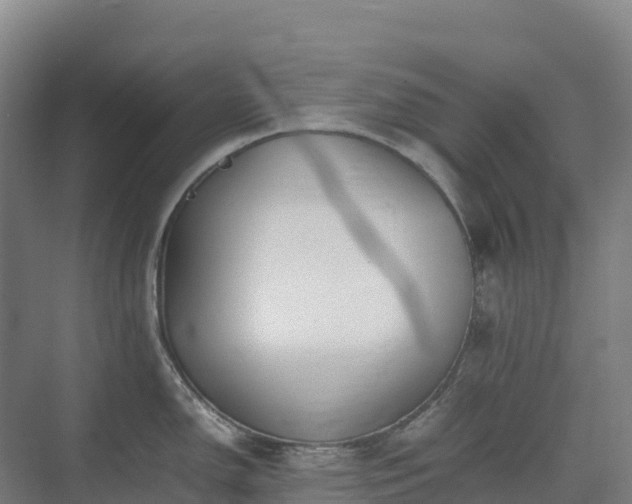 X0000075381150200609151722