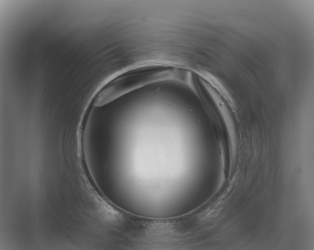 X0000075381238200609151720