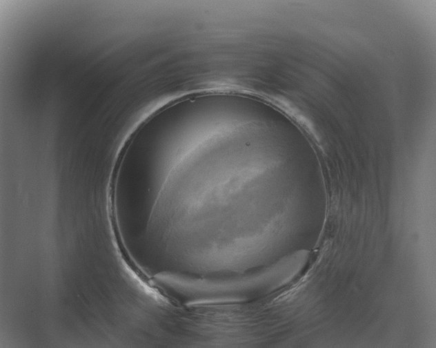 X0000075381239200609151720