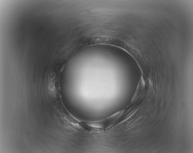 X0000075381250200609151719