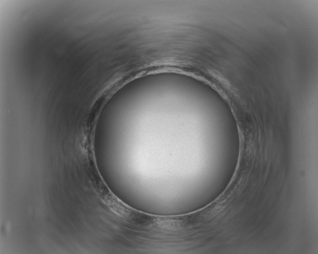X0000075381258200609151719