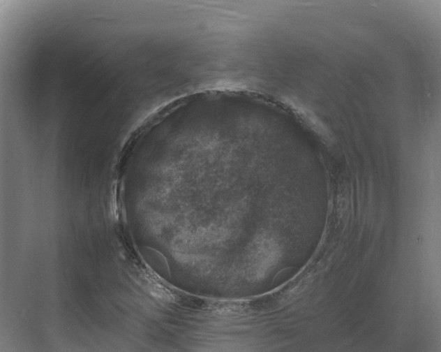 X0000075381262200609151719