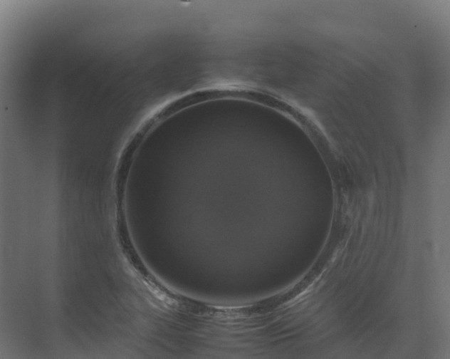 X0000075381319200609151718
