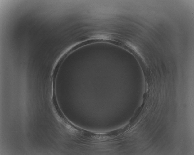 X0000075381323200609151718