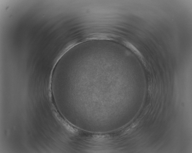 X0000075381378200609151717