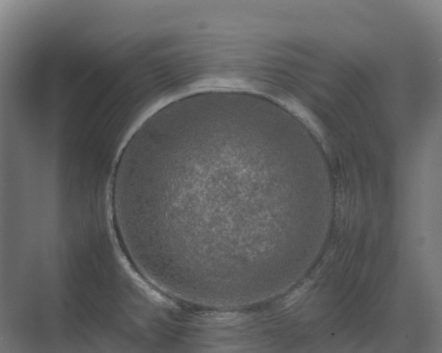 X0000075381382200609151717