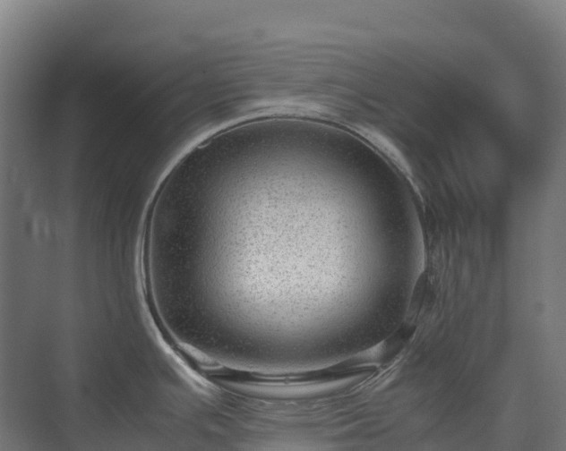 X0000075381391200609151717
