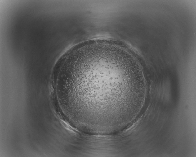X0000075381400200609151716