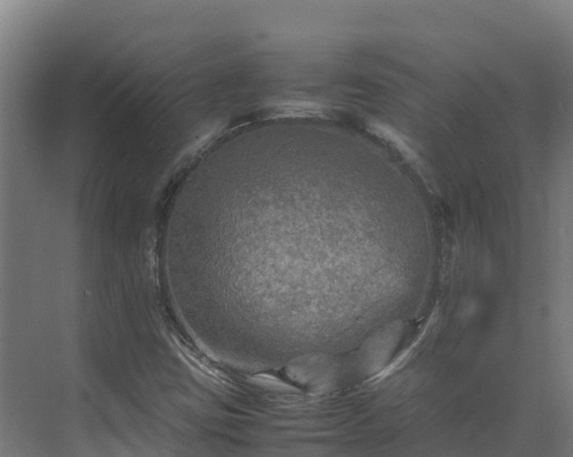 X0000075381403200609151716