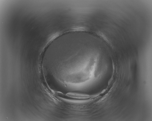 X0000075381405200609151716