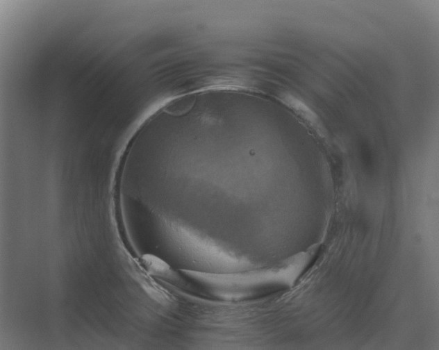 X0000075381427200609151717
