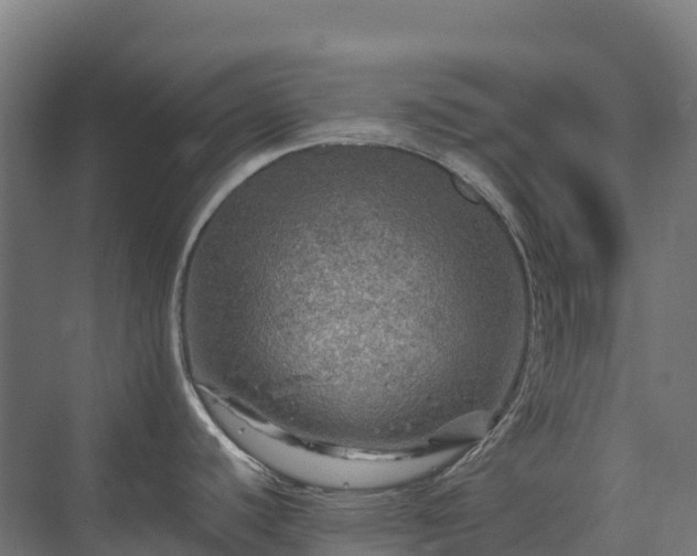 X0000075381440200609151717