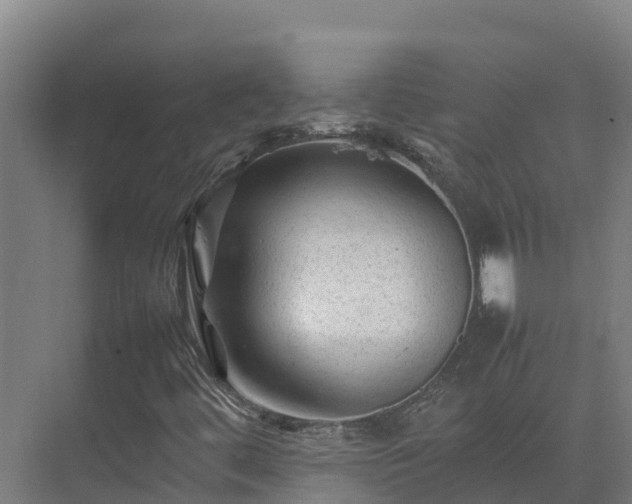 X0000075381444200609151716