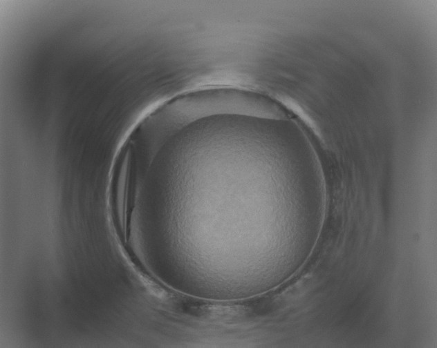 X0000075381469200609151716
